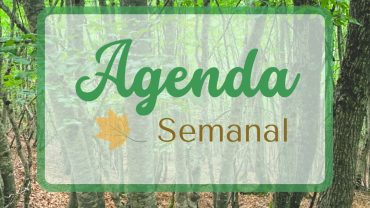 Programación Semanal