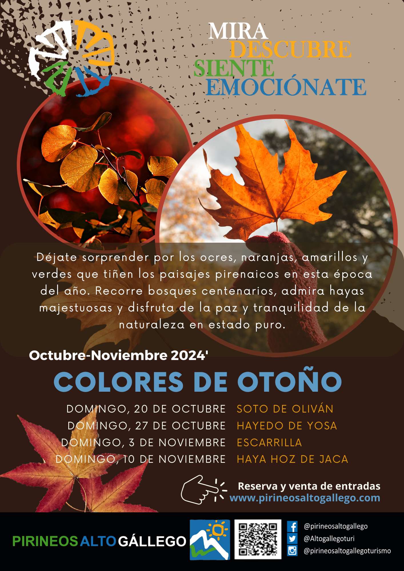 Visitas guiadas: Colores de Otoño