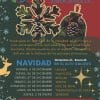 Visitas guiadas: Navidad en el Pirineo