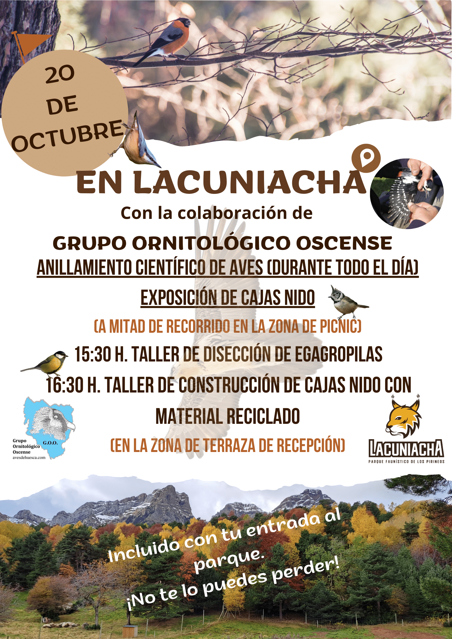 Jornadas Ornitológicas de Otoño – Lacuniacha