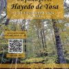 Excursión Hayedo de Yosa