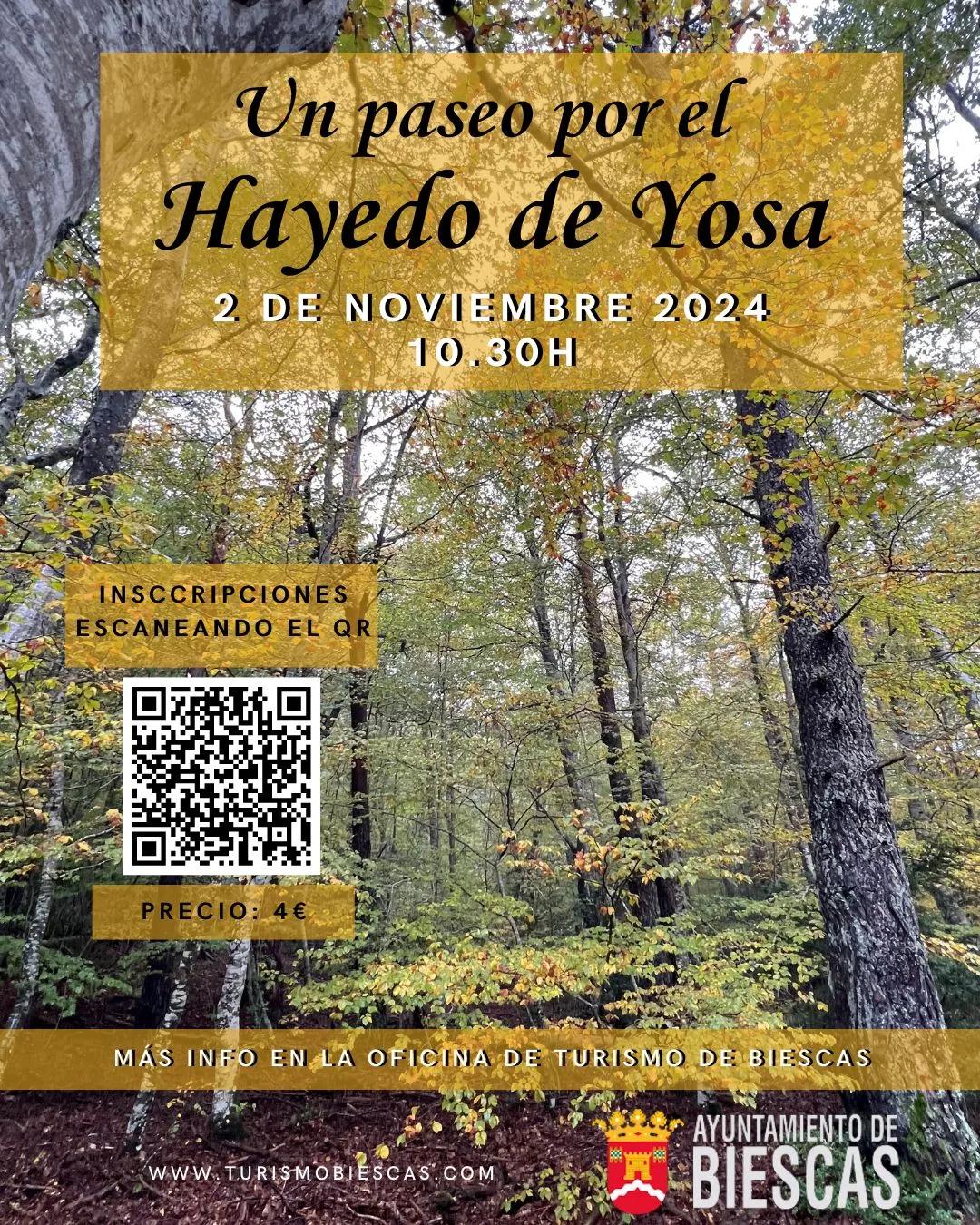 Excursión Hayedo de Yosa